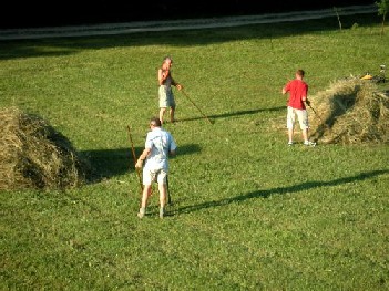 Pastwiska hay making on the house meadow 