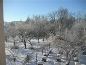 Pastwiska