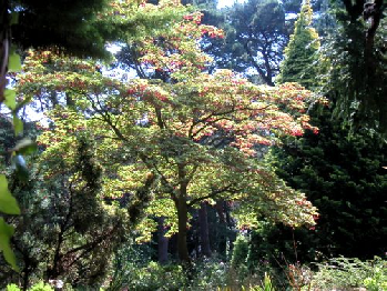 Compton Acres Bournemouth