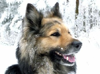 Winter 2008/2009