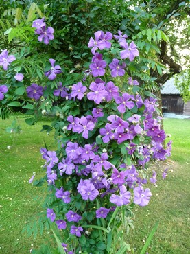 Spring and Summer 2013