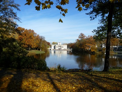 Autumn and Winter 2015