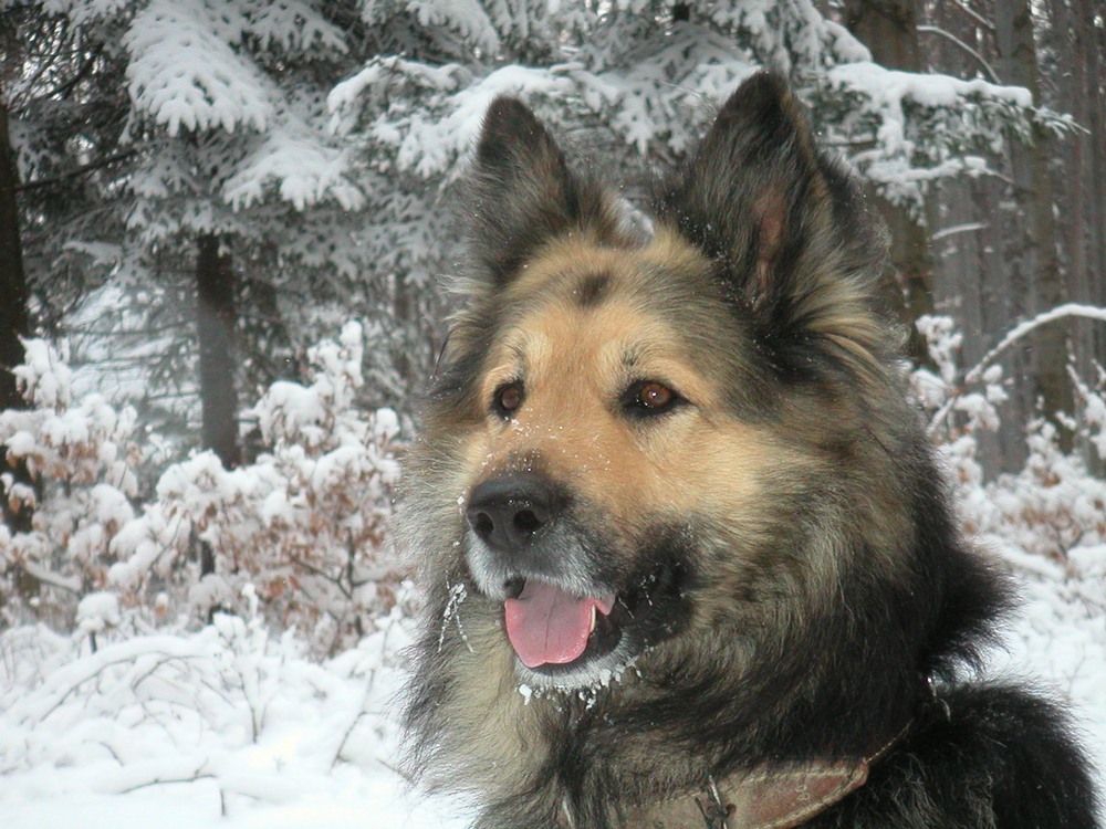 Click for adventures with him!