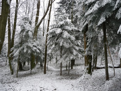 Winter 2014